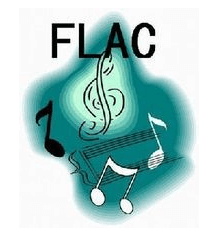 تنسيق flac بدون فقدان الصوت عبر الإنترنت من flac إلى mp3