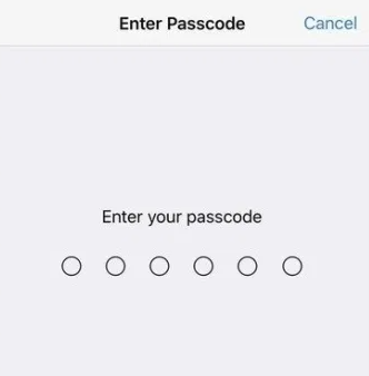 أدخل كلمة مرور قفل الشاشة لإعادة ضبط شبكة iPhone