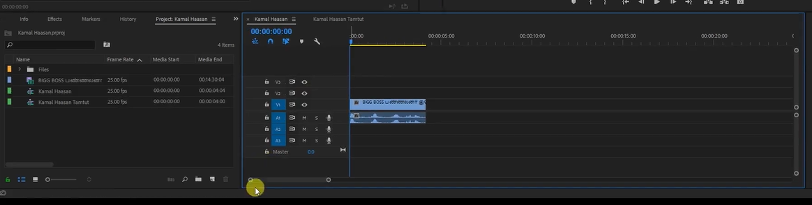 كيفية إزالة العلامة المائية باستخدام Adobe Premiere