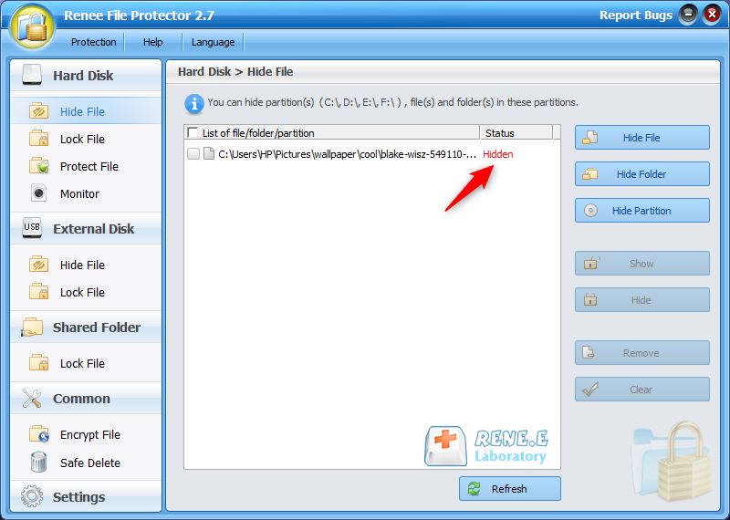التحقق من الملف المخفي في برنامج Renee File Protector