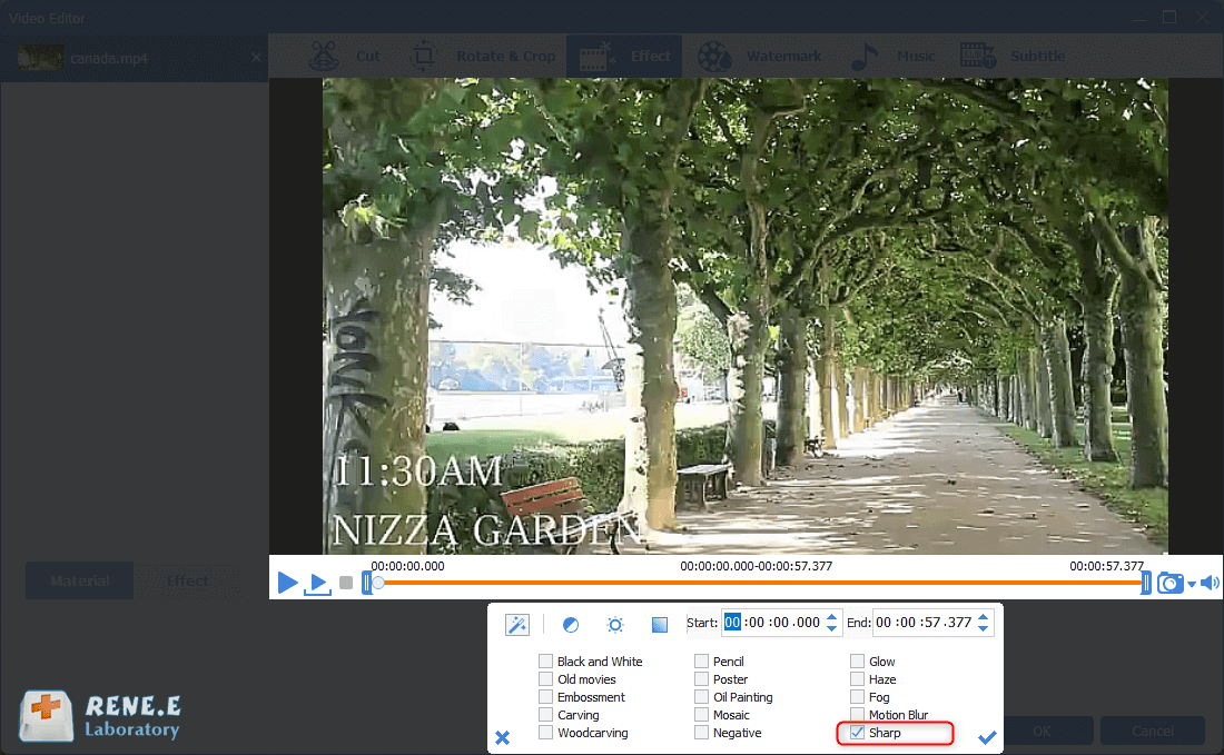 إضافة مرشح حاد في برنامج Renee Video Editor Pro